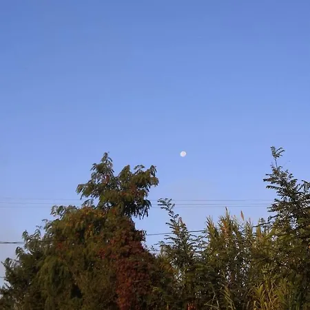 Tatil Evi Bujtina Peshtani
